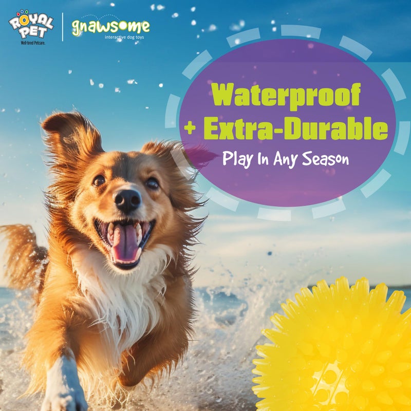 Gnawsomeâ„¢ 3.5â€ Spiky Squeak & Light Ball Dog Toy - Medium, Cleans Teeth and Promotes Good Dental and Gum Health for Your Pet, Colors will vary, 3.5" - Image 4